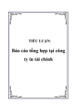 TIỂU LUẬN:  Báo cáo tổng hợp tại công ty in tài chính