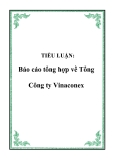 TIỂU LUẬN:  Báo cáo tổng hợp về Tổng Công ty Vinaconex