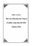 TIỂU LUẬN:  Báo cáo tổng hợp tại Công ty cổ phần cung ứng tầu biển Quảng Ninh