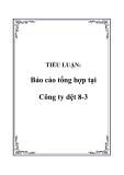 TIỂU LUẬN:  Báo cáo tổng hợp tại Công ty dệt 8-3