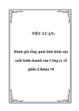 TIỂU LUẬN:  Đánh giá tổng quát tình hình sản xuất kinh doanh của Công ty cổ phần Lilama 10