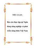 TIỂU LUẬN:  Báo cáo thực tập tại Ngân hàng nông nghiệp và phát triển nông thôn Việt Nam