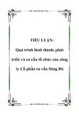 TIỂU LUẬN:  Quá trình hình thành, phát triển và cơ cấu tổ chức của công ty Cổ phần tư vấn Sông Đà
