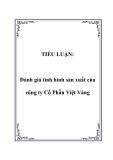 TIỂU LUẬN:  Đánh giá tình hình sản xuất của công ty Cổ Phần Việt Vàng