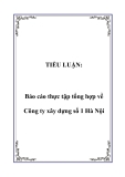 Tiểu luận đề tài : Công ty xây dựng số 1 Hà Nội