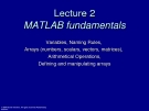 Lecture 2MATLAB fundamentals