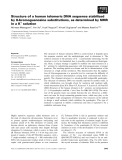 Báo cáo khoa học: Structure of a human telomeric DNA sequence stabilized by 8-bromoguanosine substitutions, as determined by NMR in a K+ solution