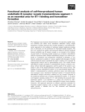 Báo cáo khoa học: Functional analysis of cell-free-produced human endothelin B receptor reveals transmembrane segment 1 as an essential area for ET-1 binding and homodimer formation