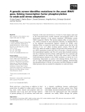 Báo cáo khoa học: A genetic screen identifies mutations in the yeastWAR1 gene, linking transcription factor phosphorylation to weak-acid stress adaptation