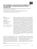 Báo cáo khoa học: The cytoskeleton, a structure that is susceptible to the toxic mechanism activated by palytoxins in human excitable cells