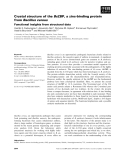 Báo cáo khoa học: Crystal structure of the BcZBP, a zinc-binding protein from Bacillus cereus