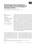 Báo cáo khoa học: Mechanistic aspects and redox properties of hyperthermophilic L-proline dehydrogenase from Pyrococcus furiosus related to dimethylglycine dehydrogenase⁄oxidase