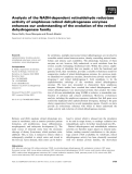 Báo cáo khoa học: Analysis of the NADH-dependent retinaldehyde reductase activity of amphioxus retinol dehydrogenase enzymes enhances our understanding of the evolution of the retinol dehydrogenase family