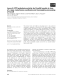 Báo cáo khoa học: Loss of ATP hydrolysis activity by CcmAB results in loss of c-type cytochrome synthesis and incomplete processing of CcmE