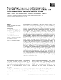 Báo cáo khoa học: The autophagic response to nutrient deprivation in the hl-1 cardiac myocyte is modulated by Bcl-2 and sarco⁄endoplasmic reticulum calcium stores