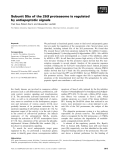 Báo cáo khoa học: Subunit S5a of the 26S proteasome is regulated by antiapoptotic signals