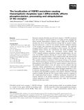 Báo cáo khoa học: The localization of FGFR3 mutations causing thanatophoric dysplasia type I differentially affects phosphorylation, processing and ubiquitylation of the receptor