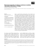 Báo cáo khoa học: Electrical properties of plasma membrane modulate subcellular distribution of K-Ras