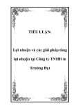 TIỂU LUẬN:  Lợi nhuận và các giải pháp tăng lợi nhuận tại Công ty TNHH in Trường Đạt