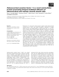 Báo cáo khoa học: Adrenocortical zonation factor 1 is a novel matricellular protein promoting integrin-mediated adhesion of adrenocortical and vascular smooth muscle cells