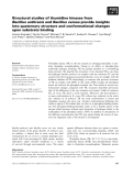 Báo cáo khoa học: Structural studies of thymidine kinases from Bacillus anthracis and Bacillus cereus provide insights into quaternary structure and conformational changes upon substrate binding