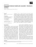 Báo cáo khoa học: Interactions between metals and a-synuclein ) function or artefact?