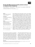 Báo cáo khoa học: Protein disulﬁde isomerase family proteins involved in soybean protein biogenesis