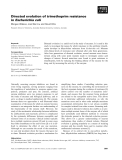 Báo cáo khoa học: Directed evolution of trimethoprim resistance inEscherichia coli