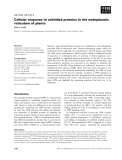 Báo cáo khoa học: Cellular response to unfolded proteins in the endoplasmic reticulum of plants