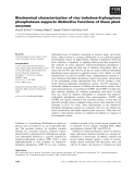 Báo cáo khoa học: Biochemical characterization of rice trehalose-6-phosphate phosphatases supports distinctive functions of these plant enzymes