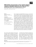 Báo cáo khoa học: DNA-binding characteristics of the regulator SenR in response to phosphorylation by the sensor histidine autokinase SenS from Streptomyces reticuli