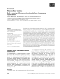 Báo cáo khoa học: The nuclear lamina Both a structural framework and a platform for genome organization