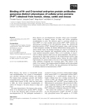 Báo cáo khoa học: Binding of N- and C-terminal anti-prion protein antibodies generates distinct phenotypes of cellular prion proteins (PrPC) obtained from human, sheep, cattle and mouse