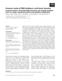 Báo cáo khoa học: Common mode of DNA binding to cold shock domains Crystal structure of hexathymidine bound to the domain-swapped form of a major cold shock protein from Bacillus caldolyticus