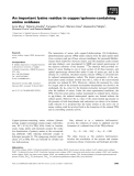 Báo cáo khoa học: An important lysine residue in copper⁄quinone-containing amine oxidases