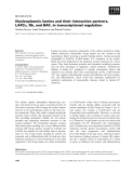 Báo cáo khoa học: Nucleoplasmic lamins and their interaction partners, LAP2a, Rb, and BAF, in transcriptional regulation