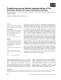 Báo cáo khoa học: Crystal structure and solution characterization of the activation domain of human methionine synthase