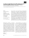 Báo cáo khoa học: A sodium ion-dependent A1AO ATP synthase from the hyperthermophilic archaeon Pyrococcus furiosus