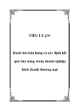 TIỂU LUẬN:  Danh thu bán hàng và xác định kết quả bán hàng trong doanh nghiệp kinh doanh thương mại