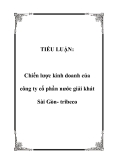 Tiểu luận:  Chiến lược kinh doanh của công ty cổ phần nước giải khát Sài Gòn- tribeco