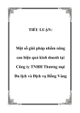 TIỂU LUẬN:  Một số giải pháp nhằm nâng cao hiệu quả kinh doanh tại Công ty TNHH Thương mại Du lịch và Dịch vụ Rồng Vàng