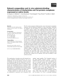 Báo cáo khoa học: Subunit composition and in vivo substrate-binding characteristics of Escherichia coli Tat protein complexes expressed at native levels
