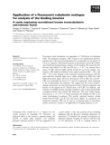 Báo cáo khoa học: Application of a ﬂuorescent cobalamin analogue for analysis of the binding kinetics A study employing recombinant human transcobalamin and intrinsic factor