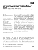 Báo cáo khoa học: Overexpression of putative topoisomerase 6 genes from rice confers stress tolerance in transgenic Arabidopsis plants