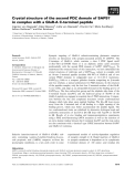 Báo cáo khoa học: Crystal structure of the second PDZ domain of SAP97 in complex with a GluR-A C-terminal peptide