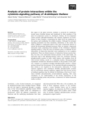 Báo cáo khoa học: Analysis of protein interactions within the cytokinin-signaling pathway of Arabidopsis thaliana