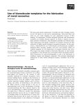 Báo cáo khoa học: Use of biomolecular templates for the fabrication of metal nanowires