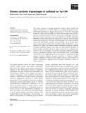 Báo cáo khoa học: Human cationic trypsinogen is sulfated on Tyr154
