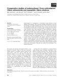 Báo cáo khoa học: Comparative studies of endonuclease I from cold-adapted Vibrio salmonicida and mesophilic Vibrio cholerae