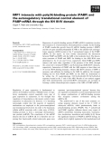 Báo cáo khoa học: IMP1 interacts with poly(A)-binding protein (PABP) and the autoregulatory translational control element of PABP-mRNA through the KH III-IV domain